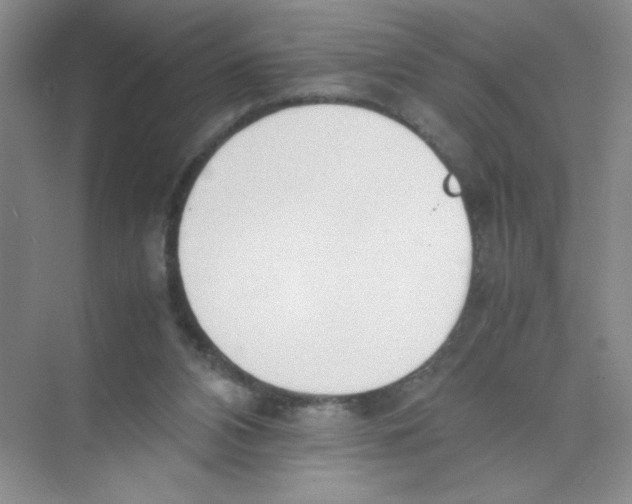 X0000074330112200609230102