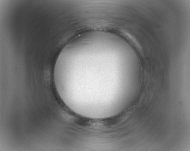 X0000074330113200609230102