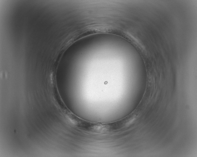 X0000074330117200609230102