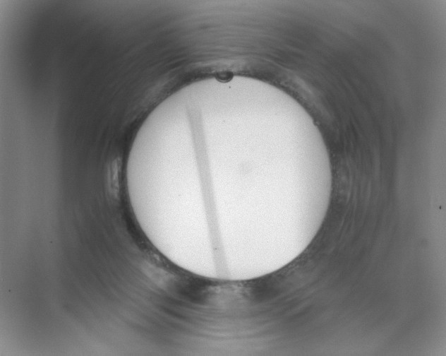 X0000074330118200609230102