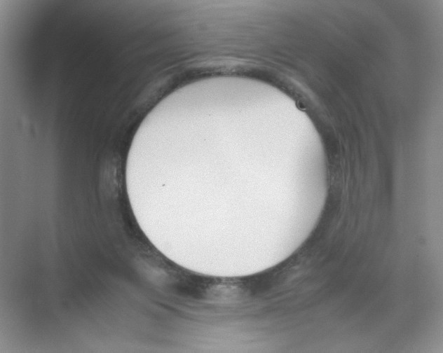 X0000074330119200609230102