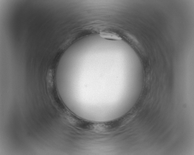 X0000074330121200609230102