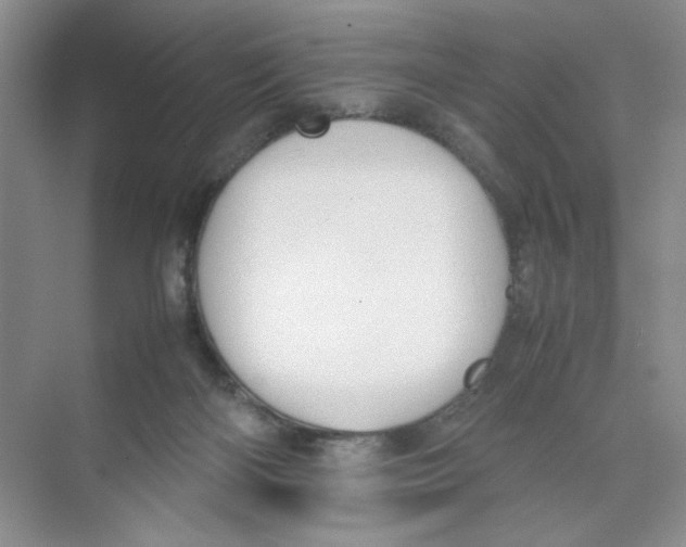 X0000074330122200609230102