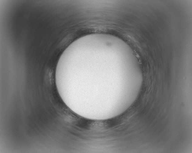 X0000074330123200609230102