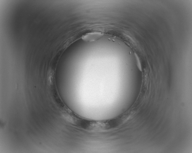 X0000074330125200609230102