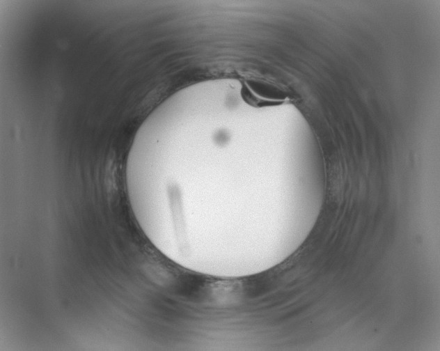 X0000074330126200609230102