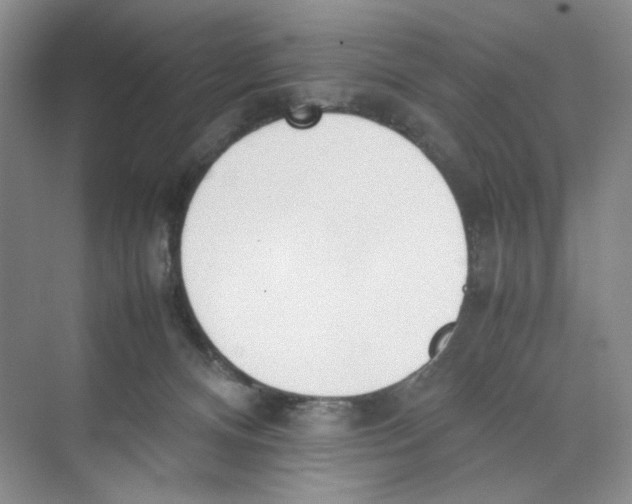 X0000074330128200609230102