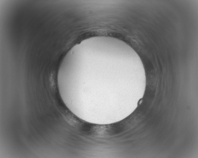 X0000074330131200609230102