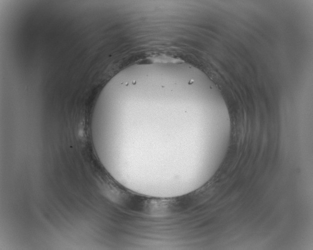 X0000074330134200609230102