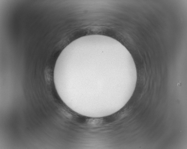 X0000074330135200609230102