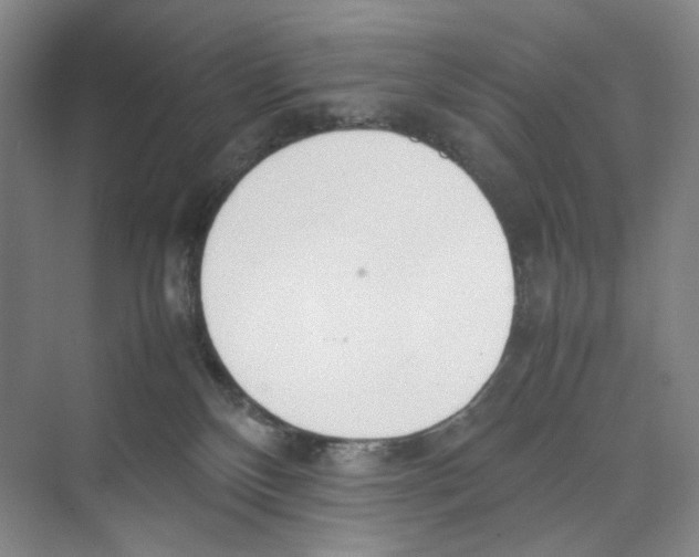 X0000074330136200609230102