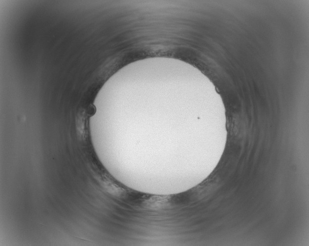 X0000074330138200609230102