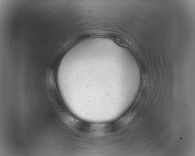 X0000074330143200609230102