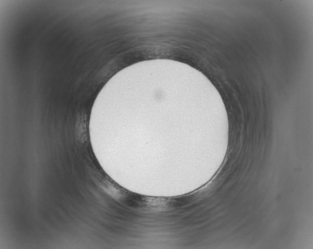 X0000074330144200609230102