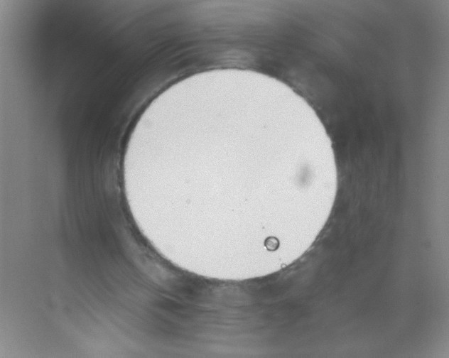 X0000074330146200609230101