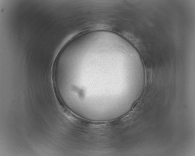 X0000074330147200609230101