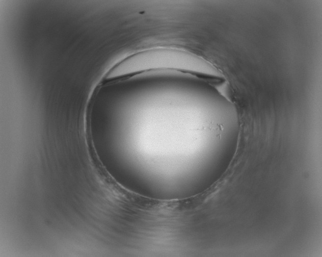 X0000074330148200609230101