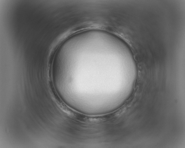 X0000074330149200609230101