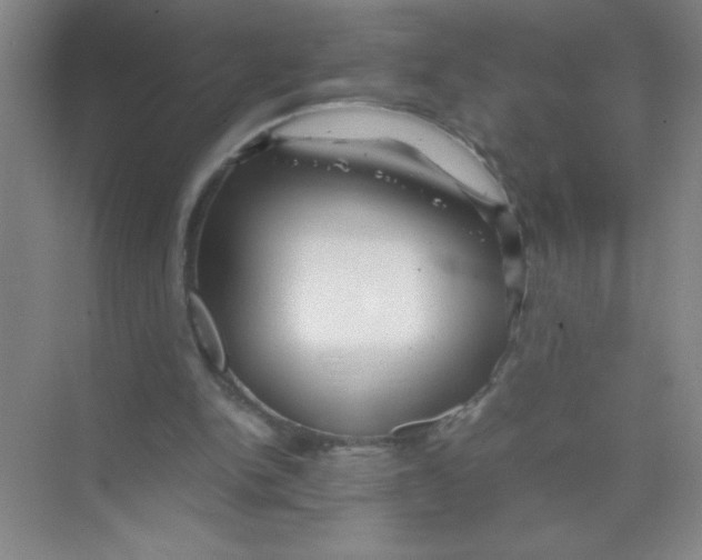 X0000074330150200609230101