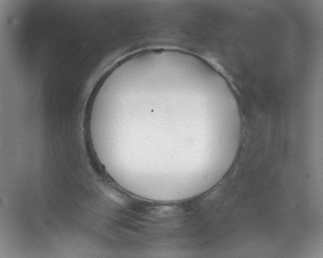 X0000074330151200609230101