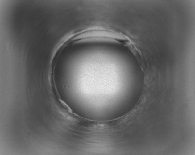 X0000074330152200609230101