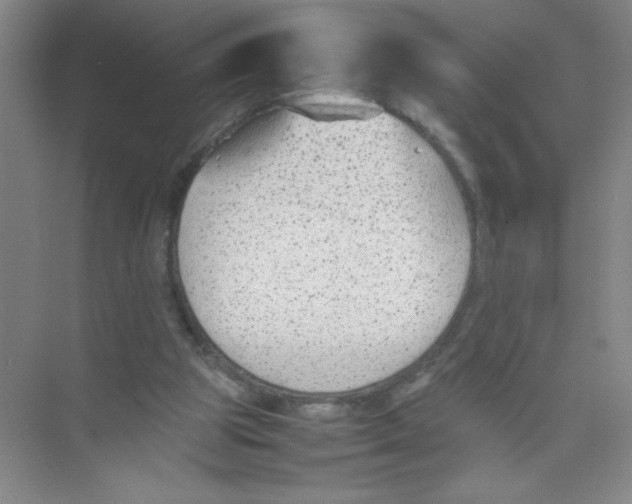 X0000074330153200609230101