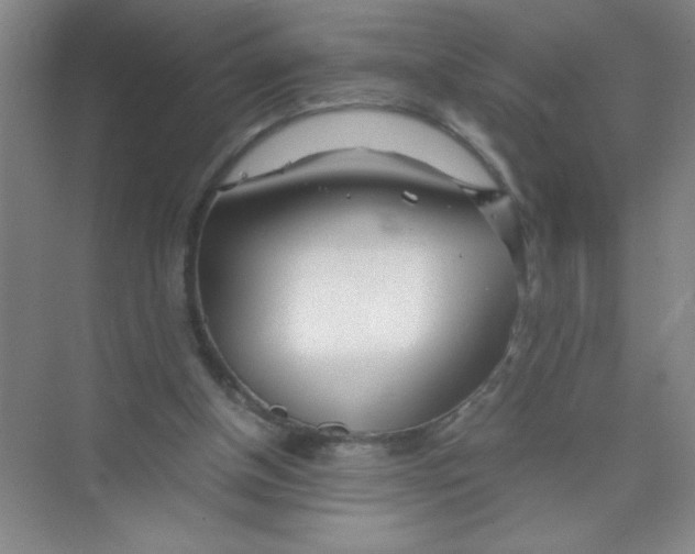 X0000074330154200609230101