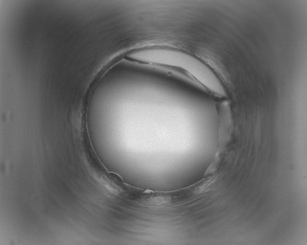 X0000074330156200609230101