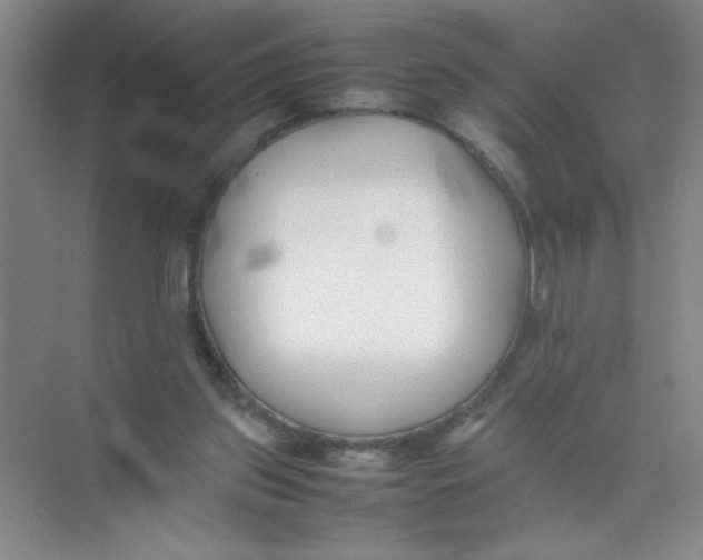 X0000074330157200609230101