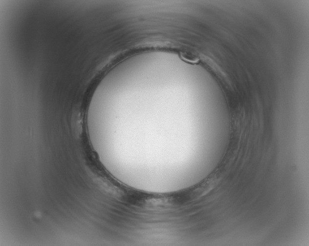 X0000074330160200609230101