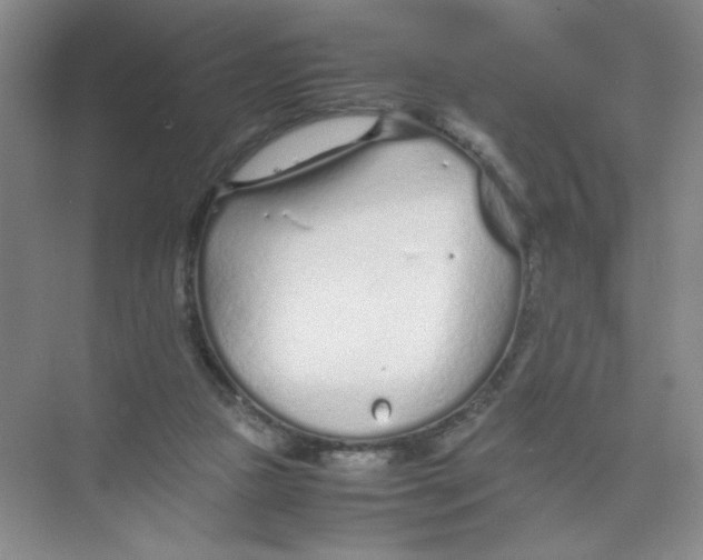 X0000074330161200609230101