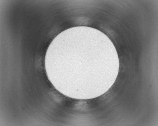 X0000074330162200609230101