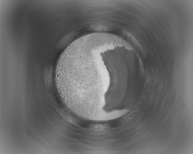 X0000074330163200609230101