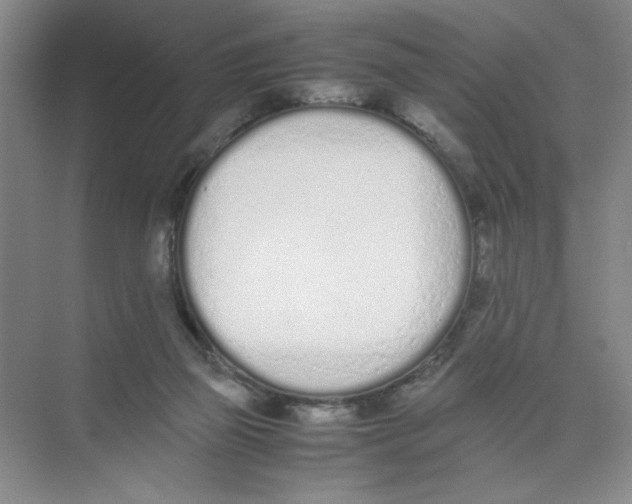 X0000074330165200609230101