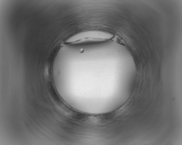 X0000074330166200609230101