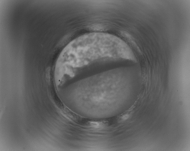 X0000074330167200609230101