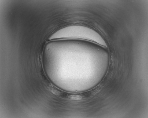 X0000074330169200609230101