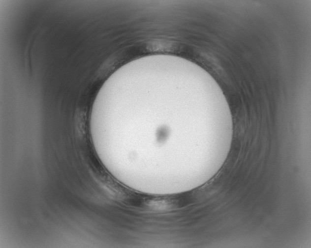 X0000074330171200609230101