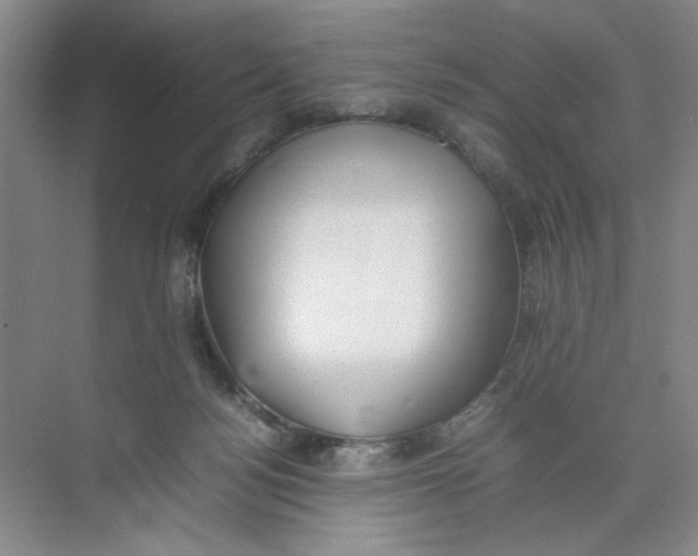 X0000074330172200609230101