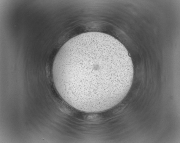 X0000074330173200609230101