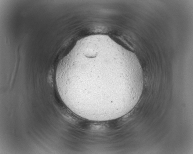 X0000074330175200609230101