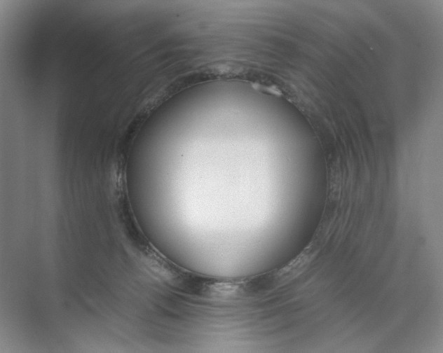 X0000074330176200609230101