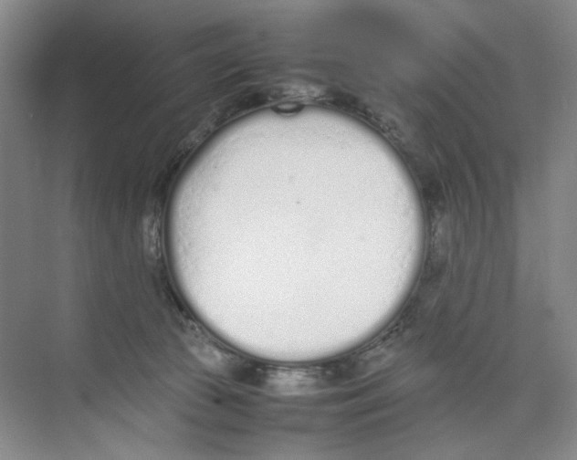 X0000074330177200609230101