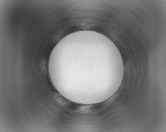 X0000074330178200609230102