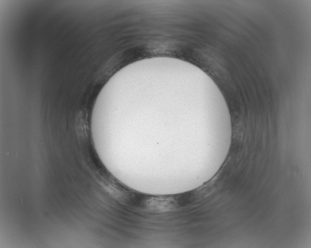 X0000074330179200609230102