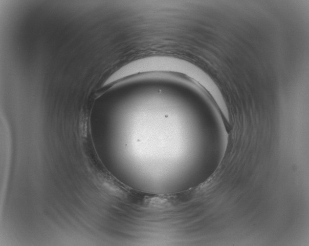 X0000074330180200609230102