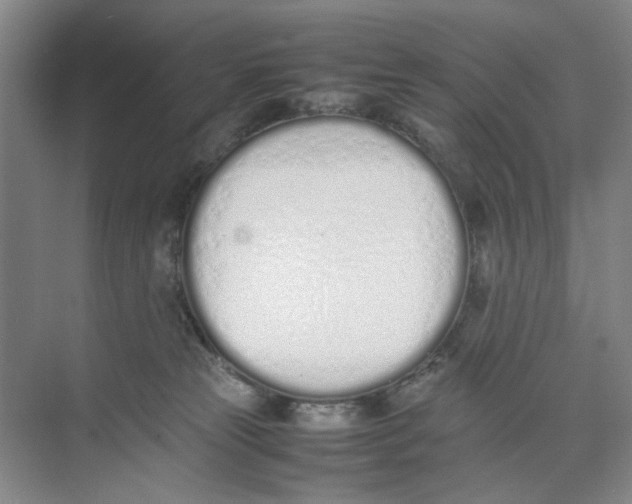 X0000074330181200609230102