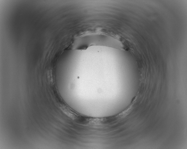 X0000074330182200609230102