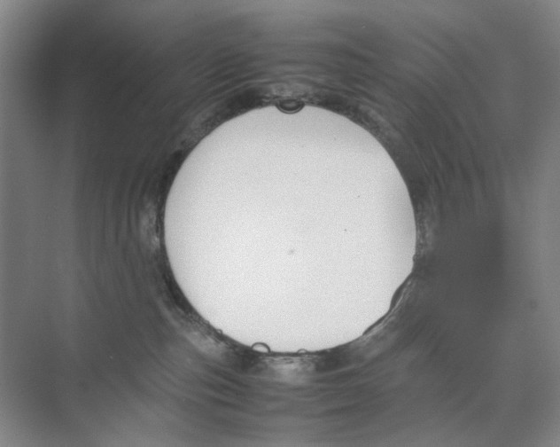 X0000074330187200609230102