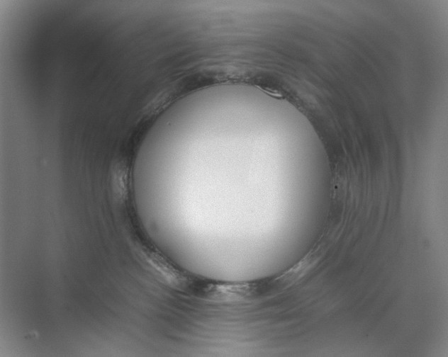 X0000074330188200609230102